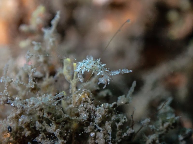 molluscmoment profile banner