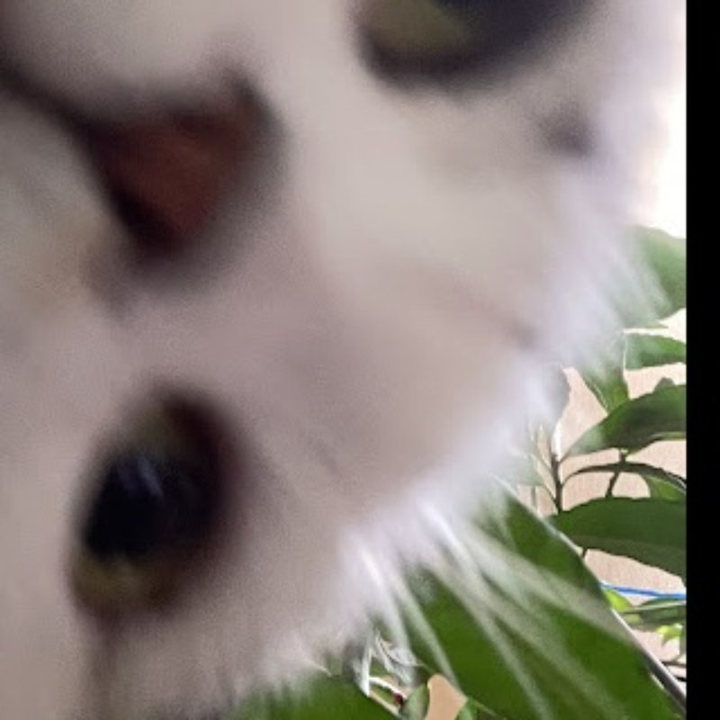 leeve profile banner
