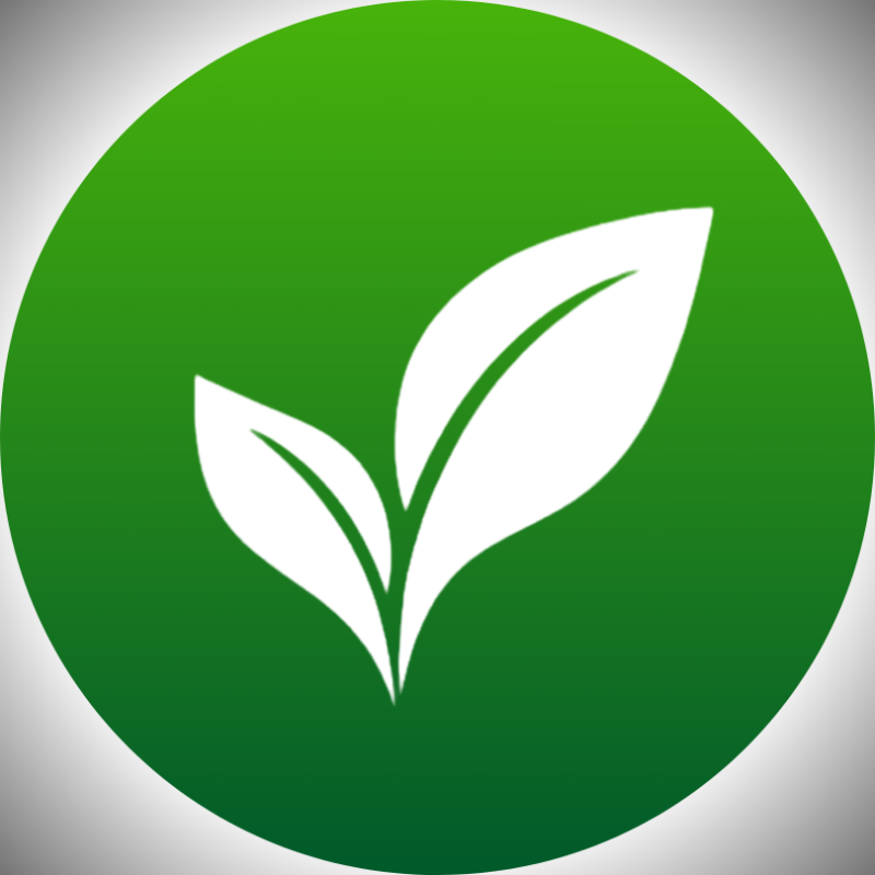 vidasemexagero profile banner
