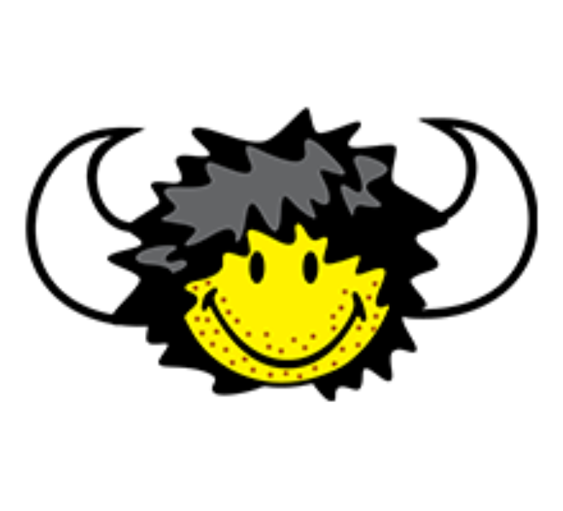 smiley profile banner