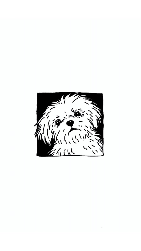 syax profile banner
