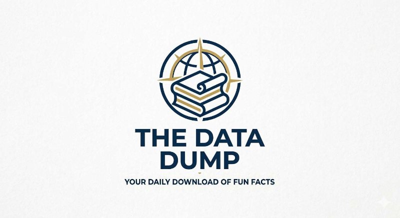 thedatadump profile banner