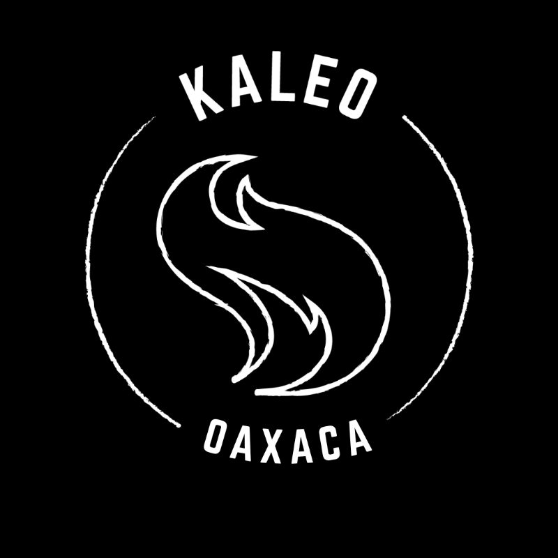 kaleooaxaca profile banner
