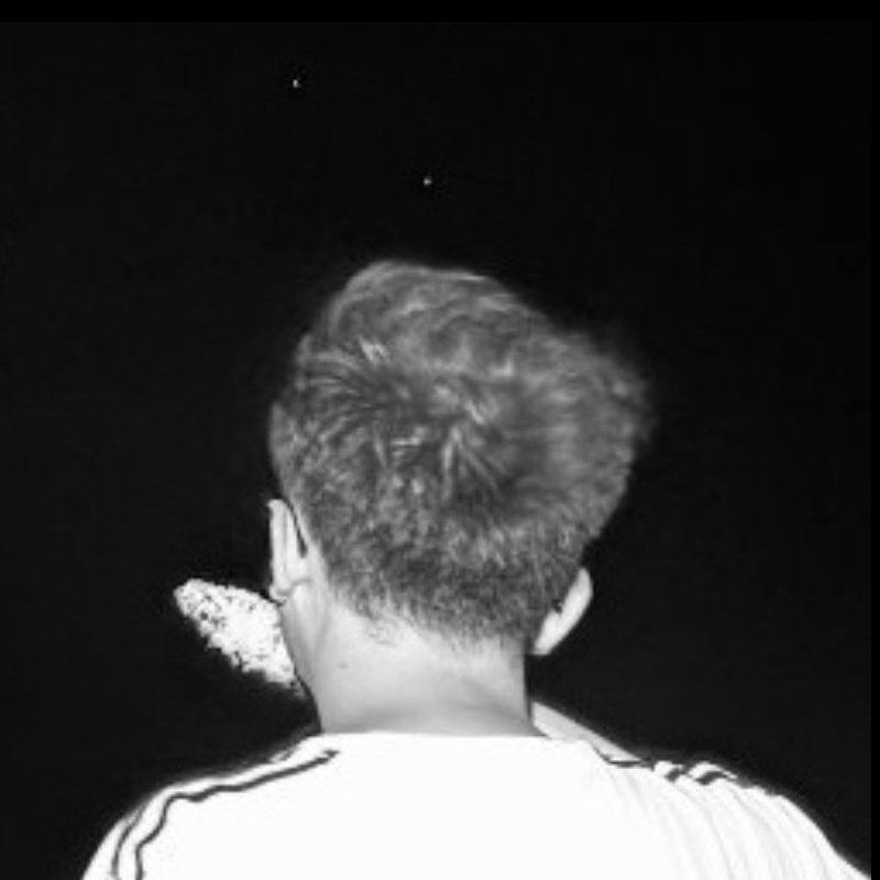 tama profile banner