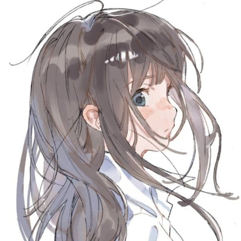 ana profile banner