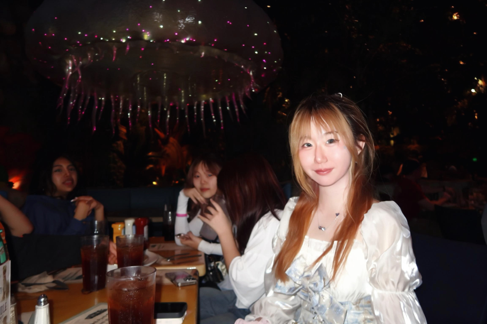 hi9 photo