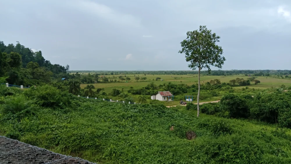 assatrissiarzl photo