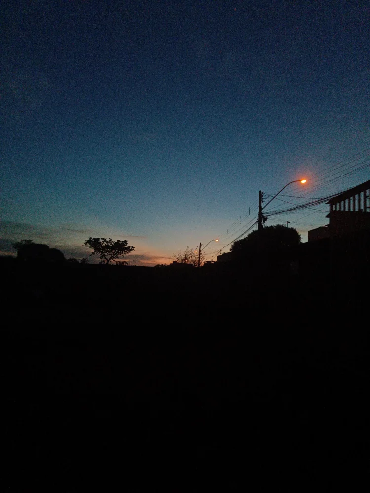 pamis photo