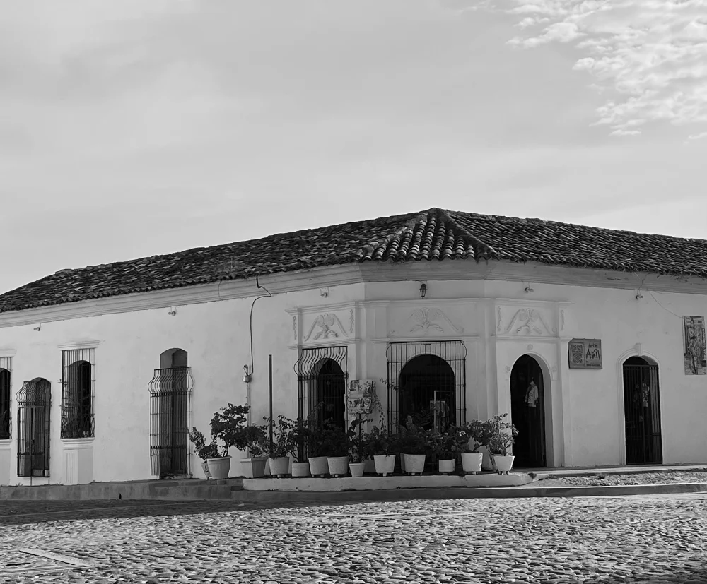 uliseschz photo