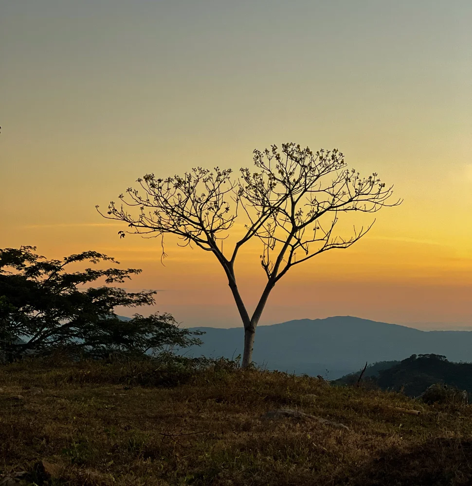 uliseschz photo